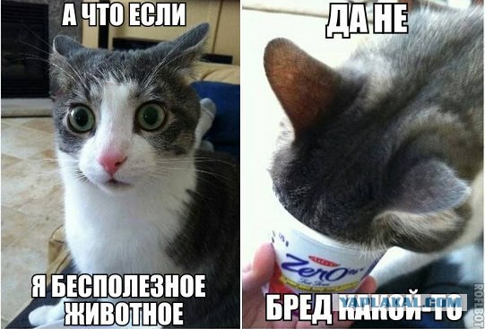 Позитивные картинки