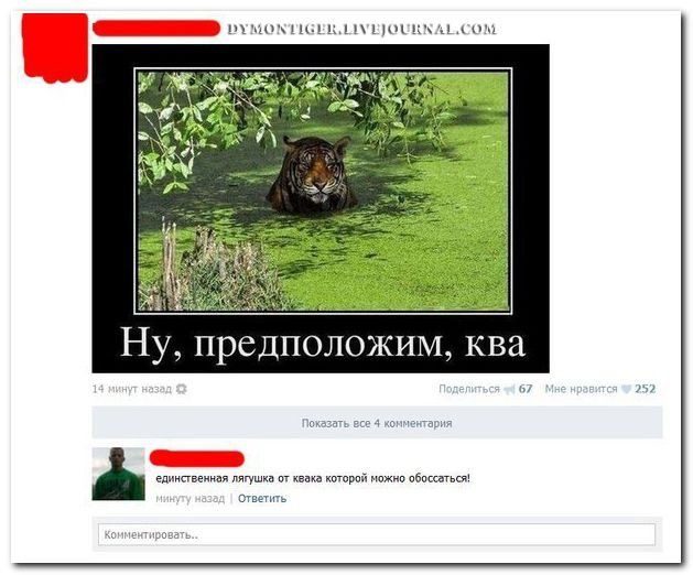 Комментарии из социальных сетей