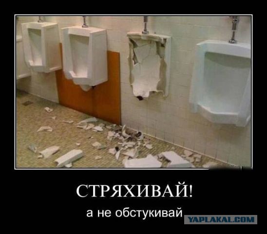 Картинки