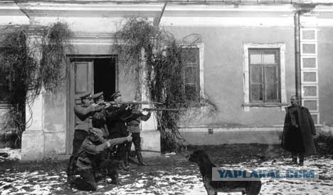 Очень редкие фотки Первой мировой войны