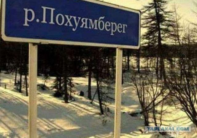 Веселые картинки, пятница.