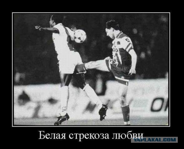 Картинки