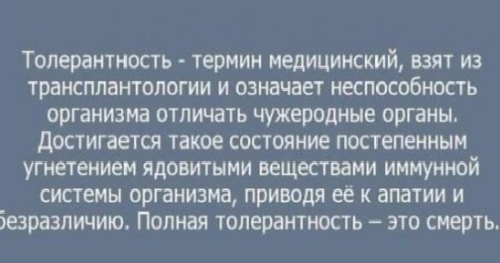 Немножко про толерантность...