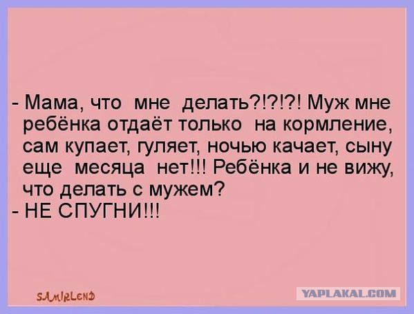 Картинки из этих ваших интернетов