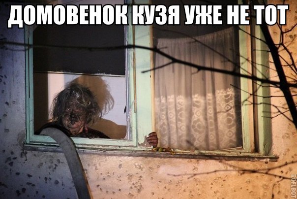Ужасы и приколы из соцсетей 18+