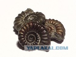 Инопланетяне оставили ?