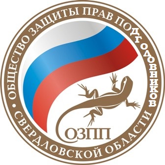 Как я машину без подголовников купил)