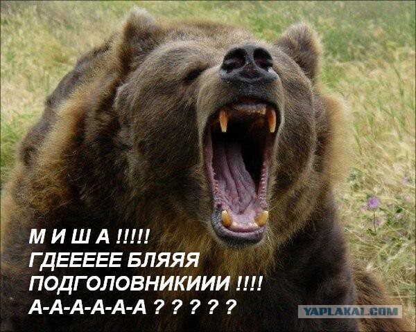 Как я машину без подголовников купил)