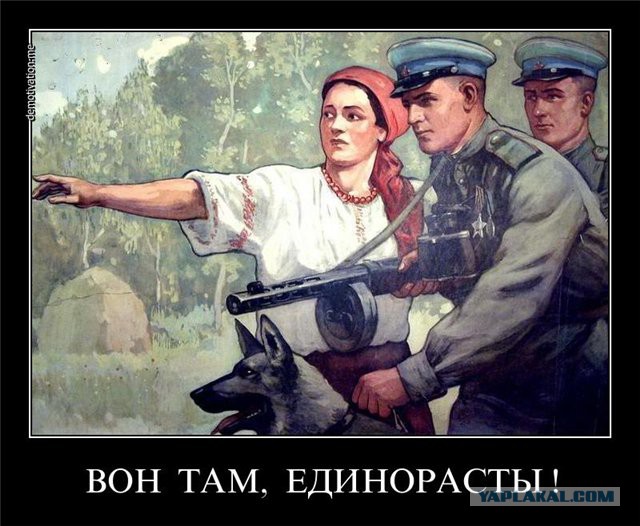 «Прямая линия» с Владимиром Путиным