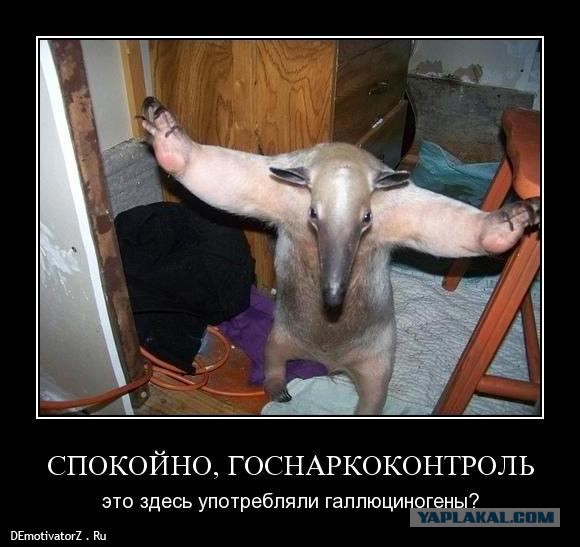 В погоне за ЮКой