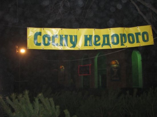 Надписи, вывески, объявления и другие буквы