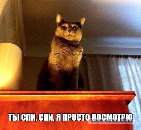 Немного веселых картинок