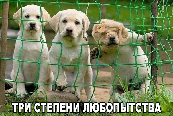 Картинки на пятницу