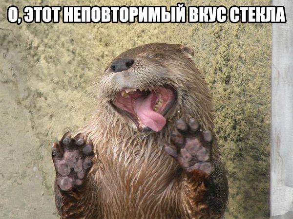 Картинки и демотиваторы