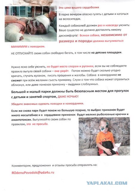 Догхантеры травят собак порошком в парках