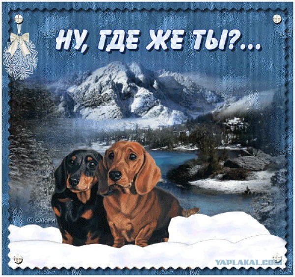 У меня грустные новости для соЯПовца. Слава Новиков тут есть?