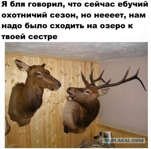 Wargaming 32