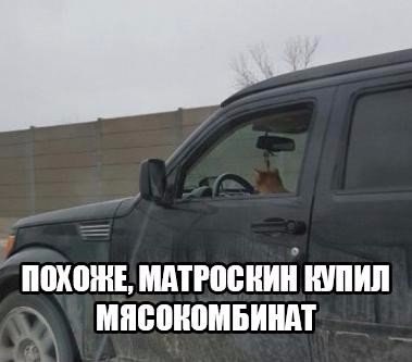 Картинки на пятницу