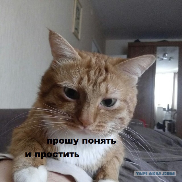 Самый неприятный и внезапный звук в процессе коитуса?
