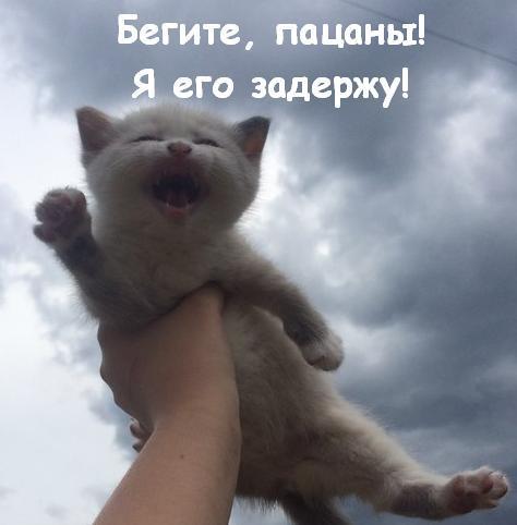 Глава РЖД Олег Белозеров отчитался о доходах
