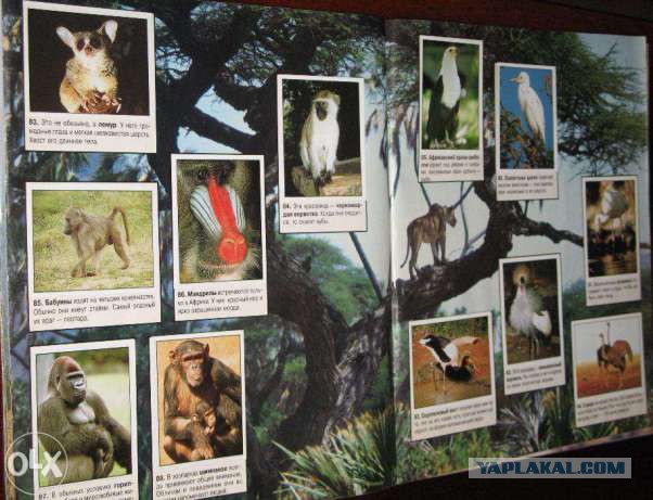 Первые деньги и последние деньги