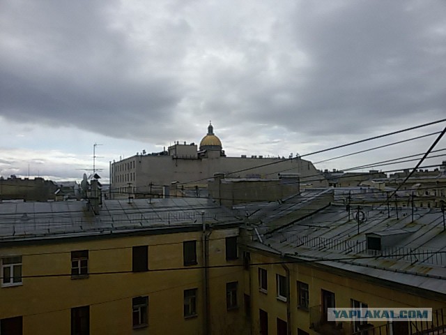 Пучок разных фотографий с телефона.