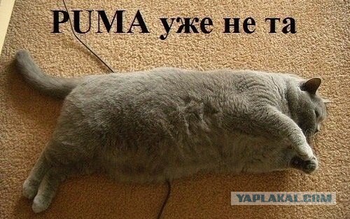Картинки из сети