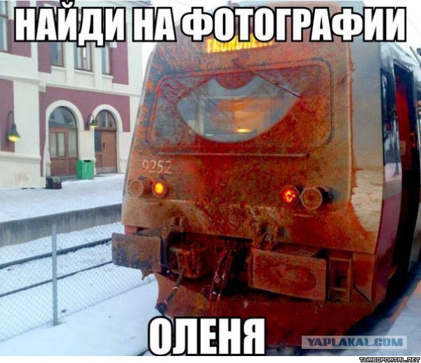 Кровь, кишки и трэшак в картинках