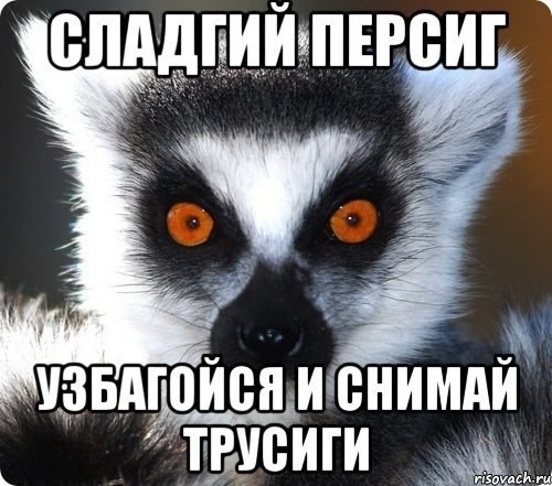 Плохие девочки "под мухой"
