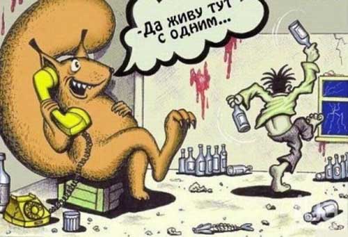Где Клуб Любителей Алкоголя?