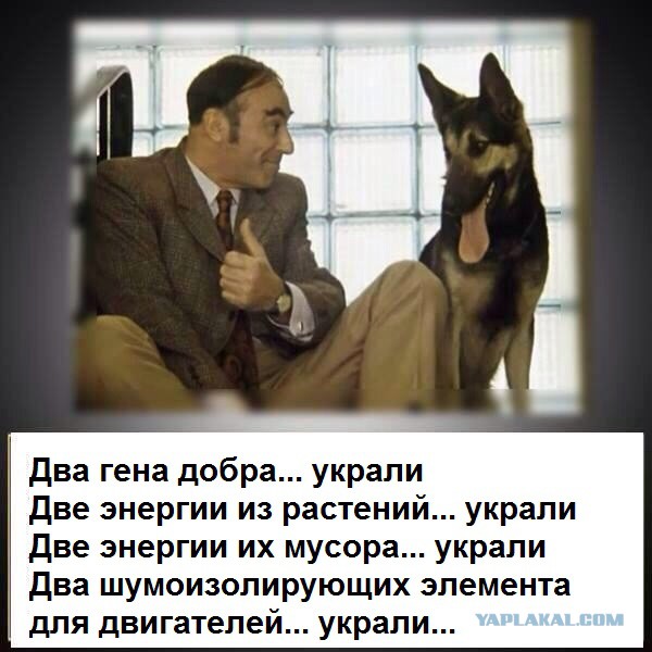 Научные галлюцинации