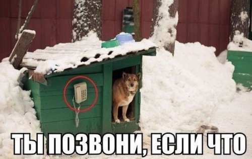 Подборка интересных и веселых картинок