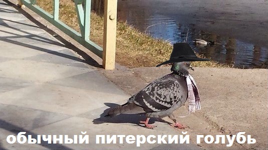 Деградировать подано