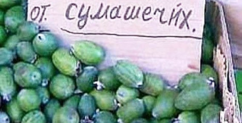 Футбол. Чемпионат России. Межсезонье. часть 4