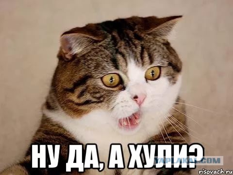 Даже не знаю, как это назвать