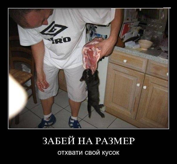 100 картинок для поднятия настроения!