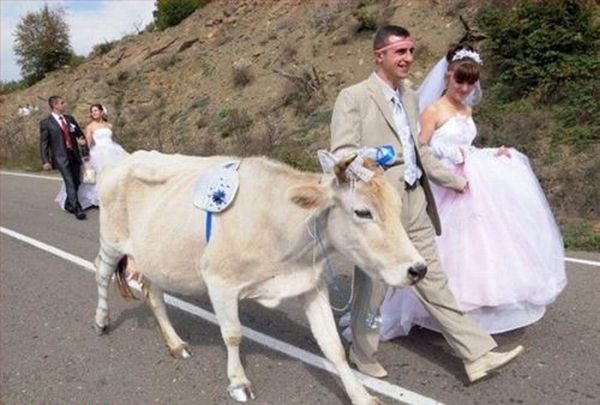 24 случая, когда свадебный фотограф запечатлел нечто неожиданное