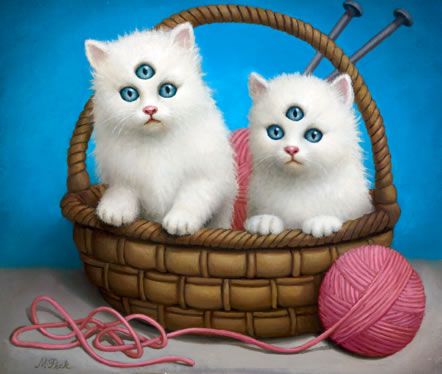 Прикольные коты на среду! ОЧЕНЬ МНОГО! Часть 2