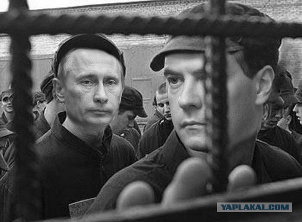 И — импортозамещение