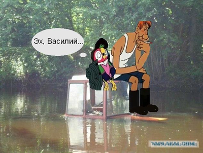 Проститутка изнасиловала московского писателя пультом от телевизора