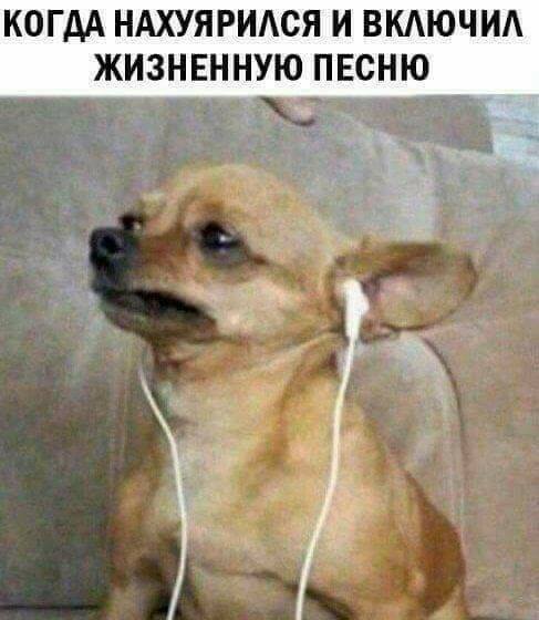 Пятница в черном - черном городе...