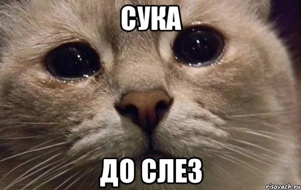 Выпущена новая операционная система Windows 95