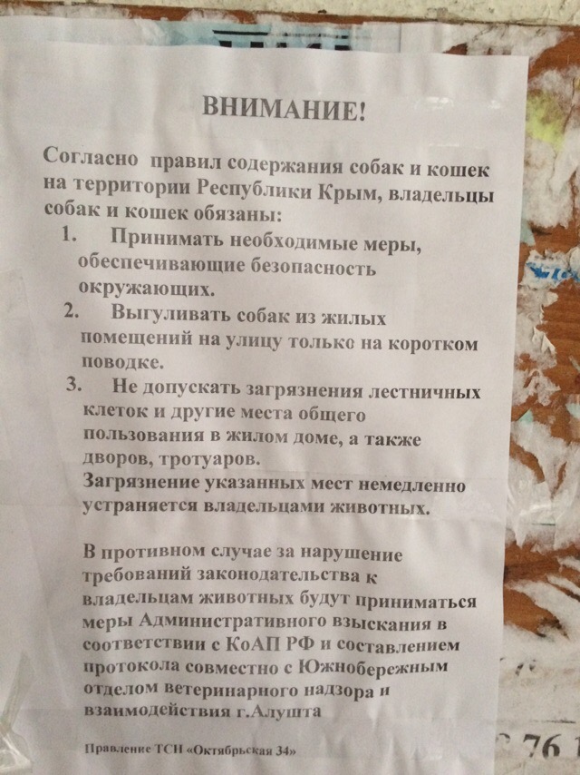 Госдума планирует ввести налог на домашних животных