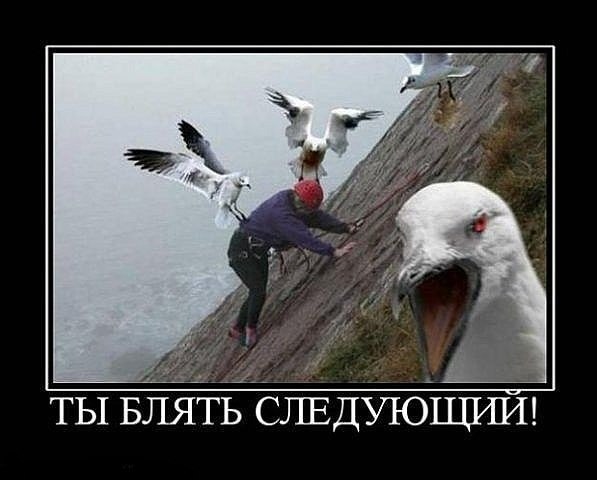 Законы со слезами на глазах