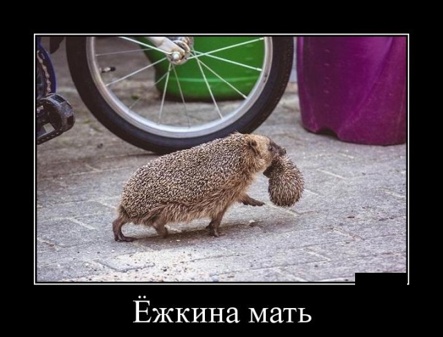 Мемуары Программиста - Предстоящая свадьба друга детства
