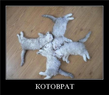 Главная молитва котизма