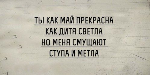 Прикольные картинки и фото с надписями и коментами