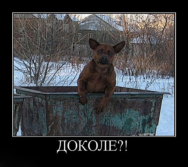 Путин расскажет всё!