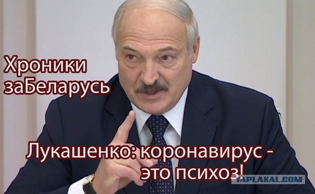 Австрийский политик: Факты не подтвердили ужасы про коронавирус