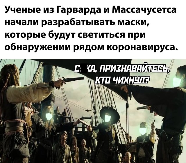 14349197.jpg
